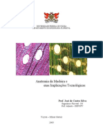 Anatomia Da Madeira e Suas Implicações Tecnológicas 