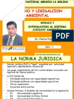 203803883-CLASE-1-Introduccion-Al-Sistema-Juridico-Ambiental.ppt