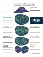 MitosisCellParts.pdf