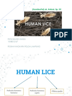 HUMAN LICE: EPIDEMIOLOGY, LIFE CYCLE, DISEASES, DIAGNOSIS AND TREATMENT