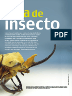 Vida de Insecto