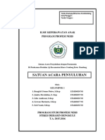 SAP Pneumonia