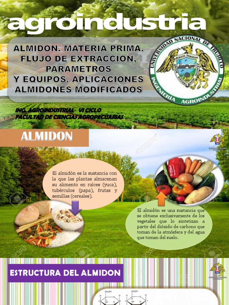 ALMIDON | PDF | Almidón | Glucosa