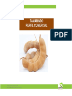 Tamarindo.pdf