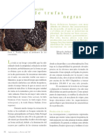 trufas_negras.pdf