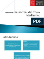 Anatomía Normal Del Tórax