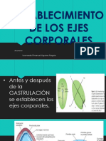 Establecimiento de Los Ejes Corporales