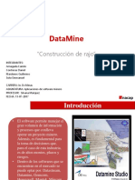 Software Datamine Informe