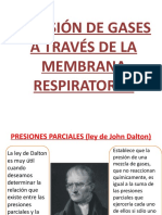 Difusión de Gases a Través de La Membrana