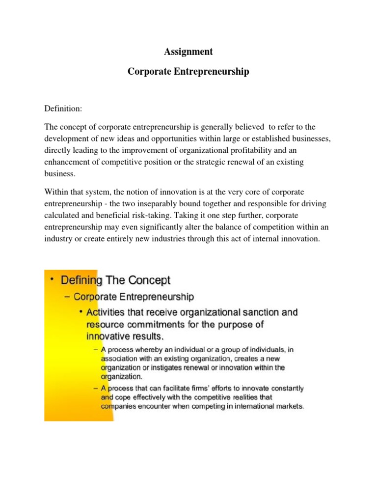 assignment on entrepreneur