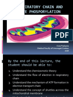 Respiratory Chain and Oxidative Phosporylation CIA