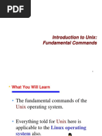 Introduction To Unix: Fundamental Commands