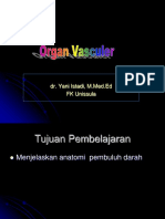 Organ Vasculer-Dr Yani