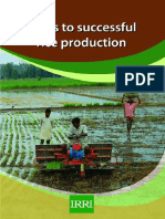 12 Steps Required For Successful Rice Production