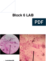 Pap Smear and Breast Pathology Slide Review