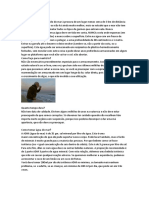 2 - AGUA DO MAR Traducido. PDF