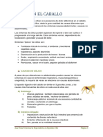 Colico en El Caballo PDF