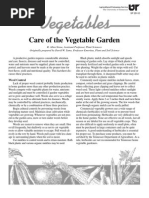 Care of The Vegetable Garden