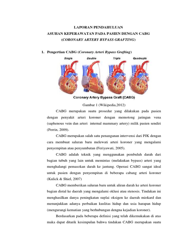 Panduan CABG: Indikasi dan Teknik | PDF