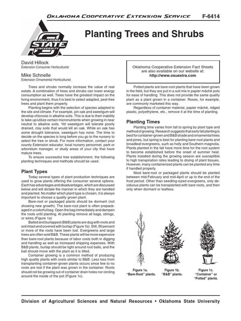 Planting Trees and Shrubs PDF Mulch Trees