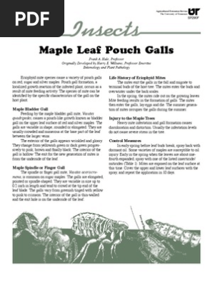 Maple Leaf Pouch Galls