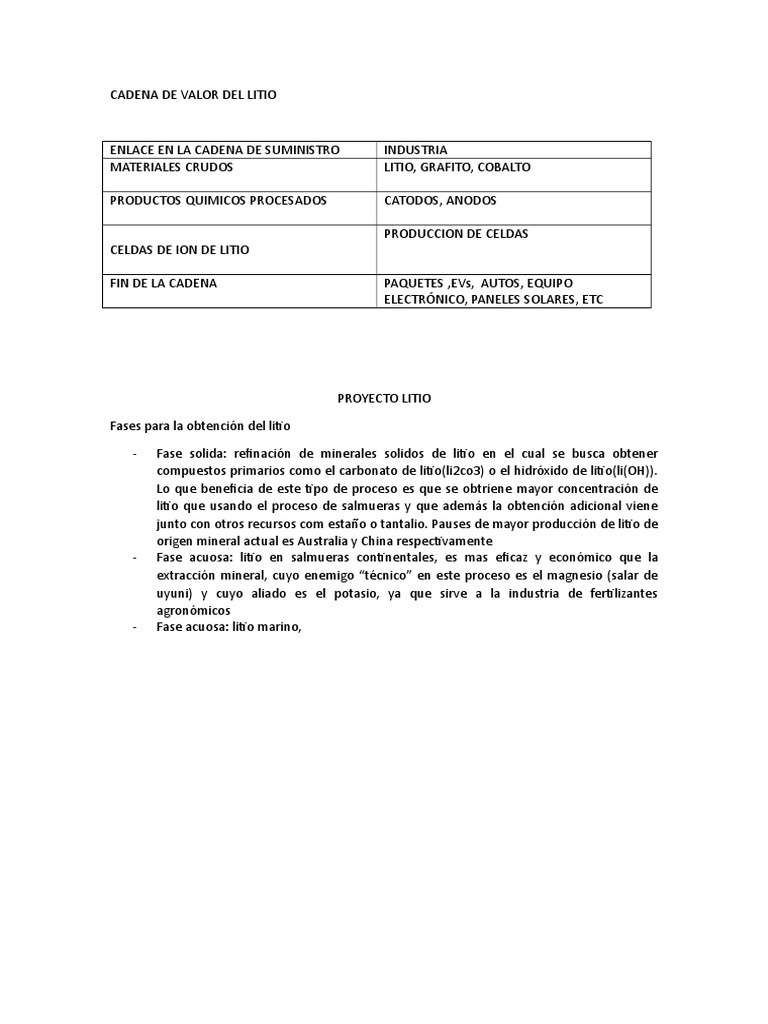 Cadena de Valor del Litio: Análisis Global | PDF | Litio | Minería