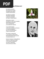 Letra de la Canción 