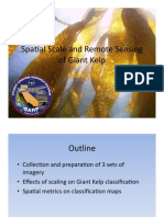 Spa$al Scale and Remote Sensing of Giant Kelp: Rachel Ertl