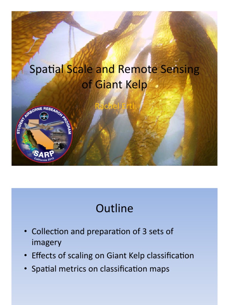 Giant Kelp Classification Methods | PDF | Remote Sensing | Computer Vision