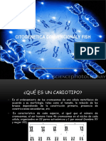 CITOGENETICA CONVENCIONALY FISH 6-6-14.pptx