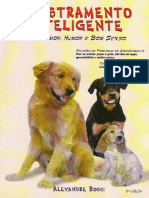 A Lei da Matilha: Amor, Liderança e Treinamento para seu Cão