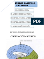 Territorio Vascular Anterior