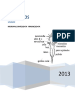 5-informe final de micropaleontologia.doc