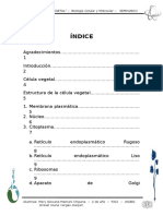 Monografia Celula Vegetal