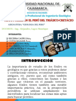 FOSILES EN EL PERU PPT.pdf