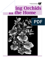 Growing Orchids in the Home