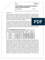 Evaluación de La Obtención de Cromosomas Humanos A Partir de Cultivo de Linfocitos