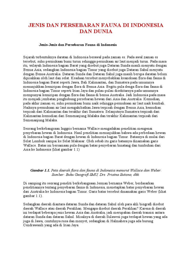 Unduh 68 Gambar Fauna Dan Flora Di Indonesia Paling Baru 