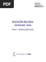 discapacidad visual