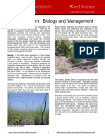 equisetum(2).pdf