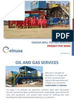 Elnusa Well Testing Services: Project Phe Wmo