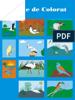 Carte de colorat.pdf