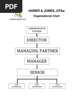 Director Managing Partner Manager Senior Associates: Harer & Jones, Cpas