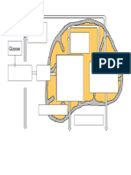 cellular-repiration-blank-diagram