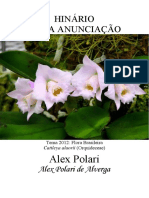 DAIME - Alex Polari - Nova Anunciacao