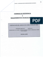 TDR_RTM_Superv Pte. Perene y accesos.pdf