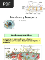 Membrana y Transporte.ppt