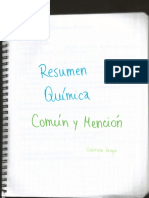 Química Común y Mención PDF