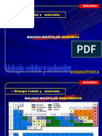 Biologia Celular y Molecular