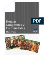 Monografia Rondas Campesinas